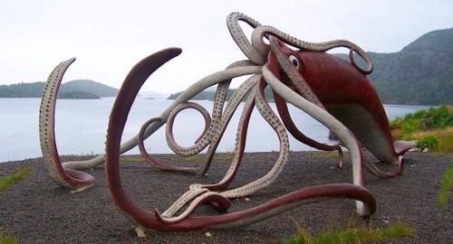 Colossal-squid