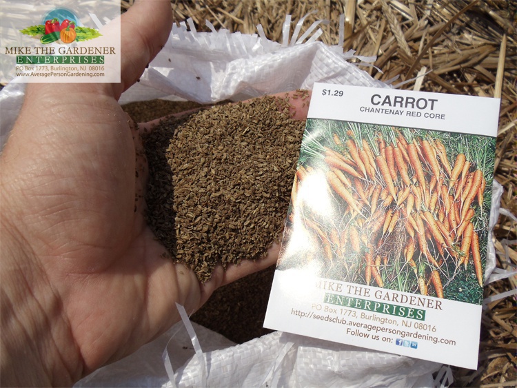 chantenay_red_core_carrot_seeds_with_packet