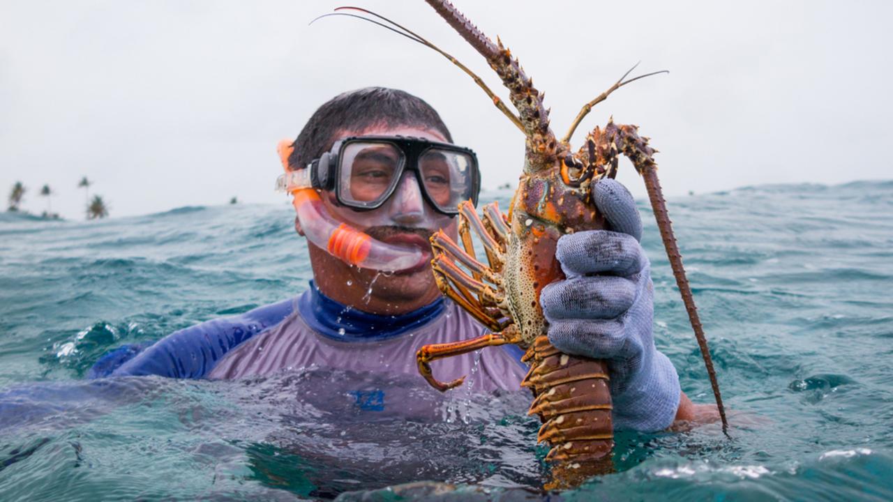 Artisinal Lobster Fishermen on the Mesoamerican Reef, Mexico