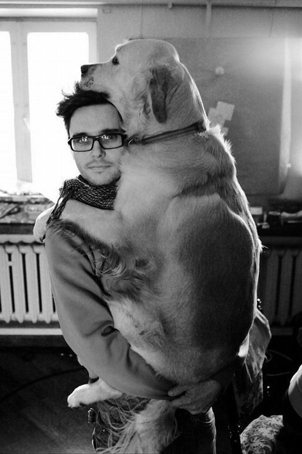 huge-dogs-feel-small-31__605