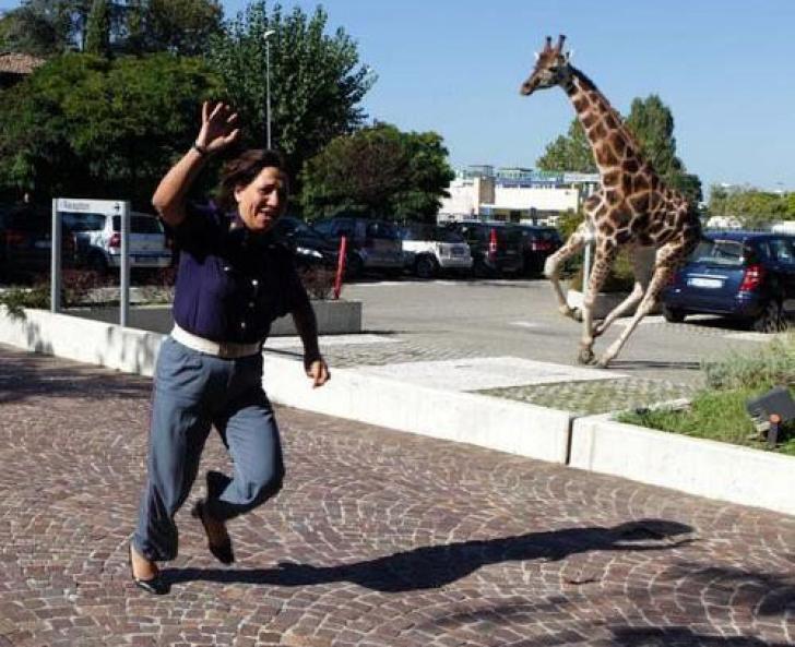 perfectly-timed-photos-timing-92