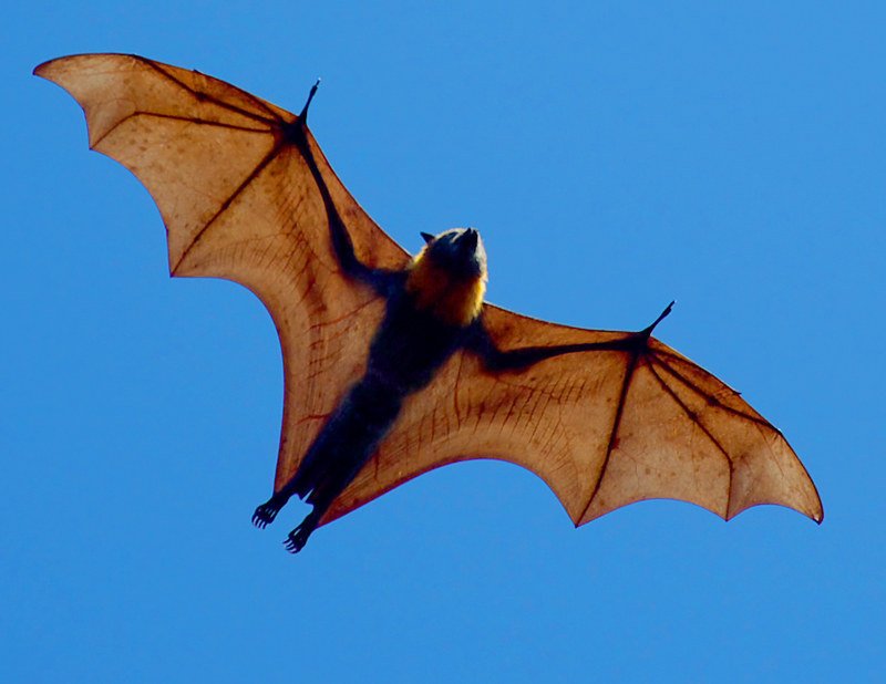 10-pictures-that-prove-australia-is-the-scariest-place-in-the-world-2