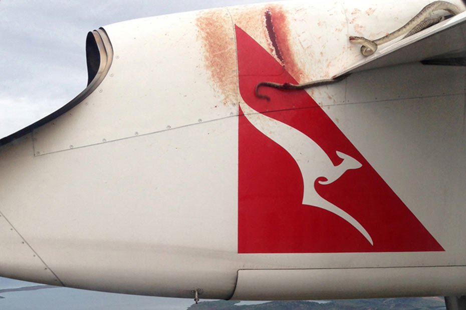 10-pictures-that-prove-australia-is-the-scariest-place-in-the-world-5
