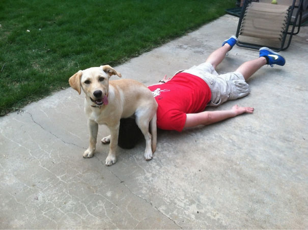 Dogs-Can-Be-Jerks-Too-4__605