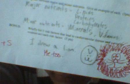a98128_teacher_6-lion