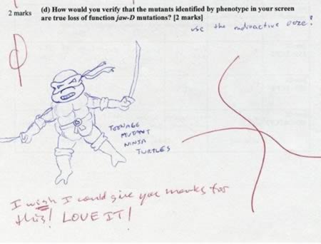 a98128_teacher_9-ninja-turtle