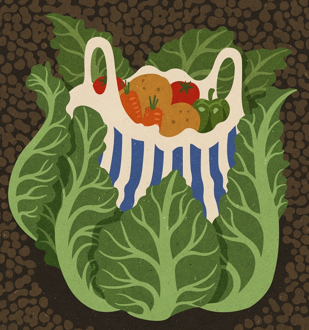 cauli
