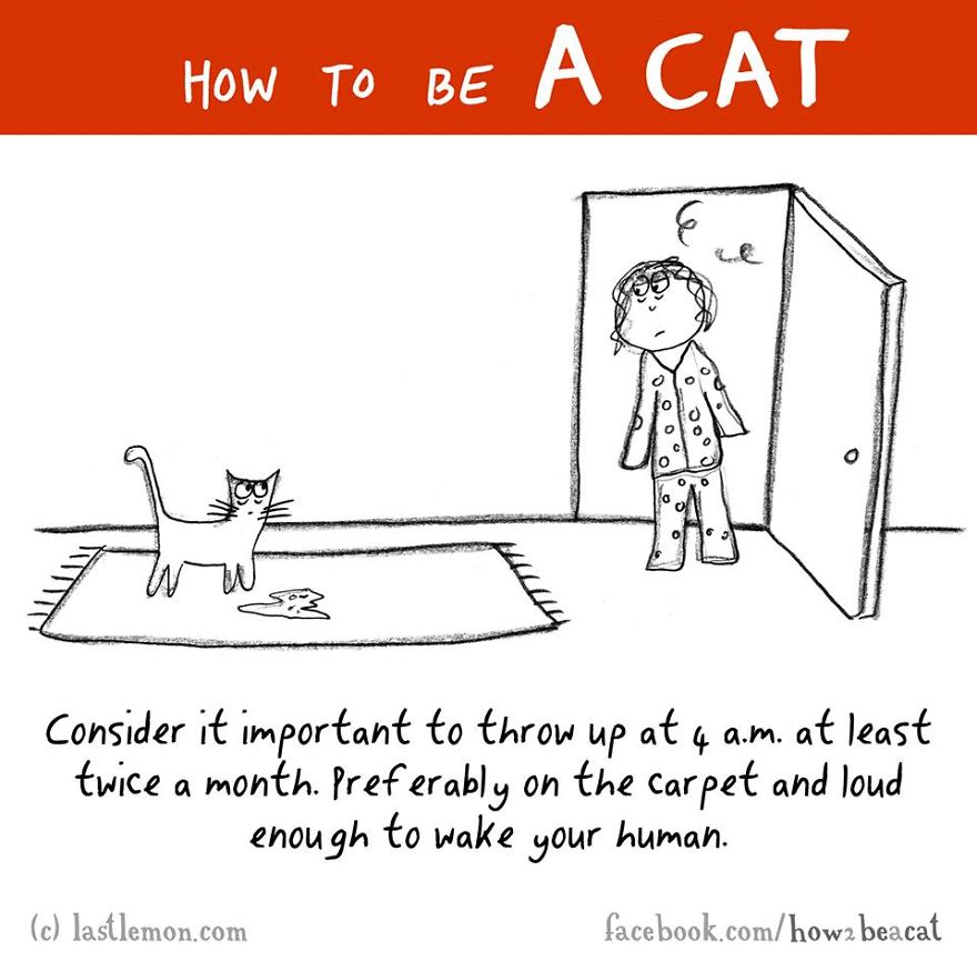 how-to-be-a-cat-funny-illustration-last-lemon-24__880