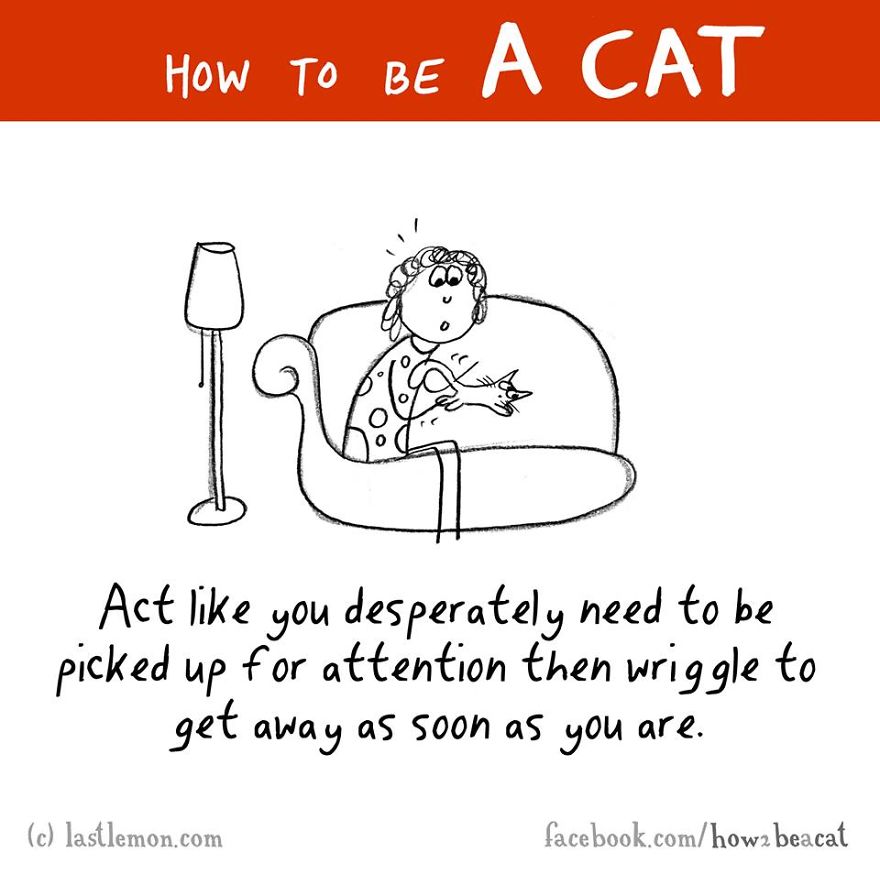 how-to-be-a-cat-funny-illustration-last-lemon-43__880