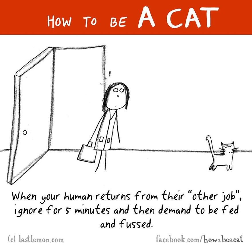 how-to-be-a-cat-funny-illustration-last-lemon-44__880