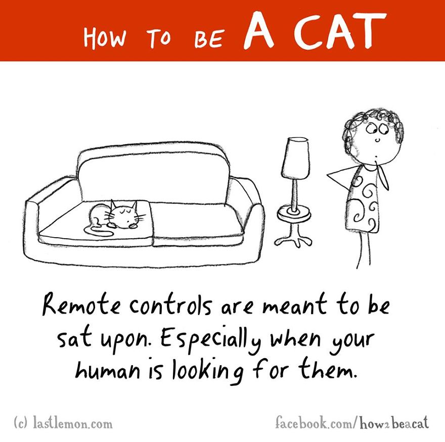 how-to-be-a-cat-funny-illustration-last-lemon-45__880
