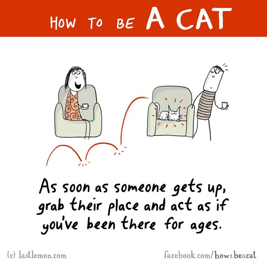 how-to-be-a-cat-funny-illustration-last-lemon-84__880