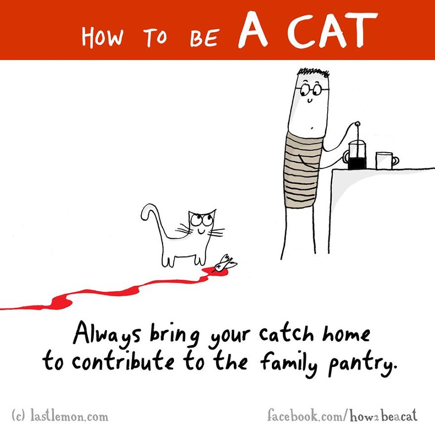 how-to-be-a-cat-funny-illustration-last-lemon-90__880