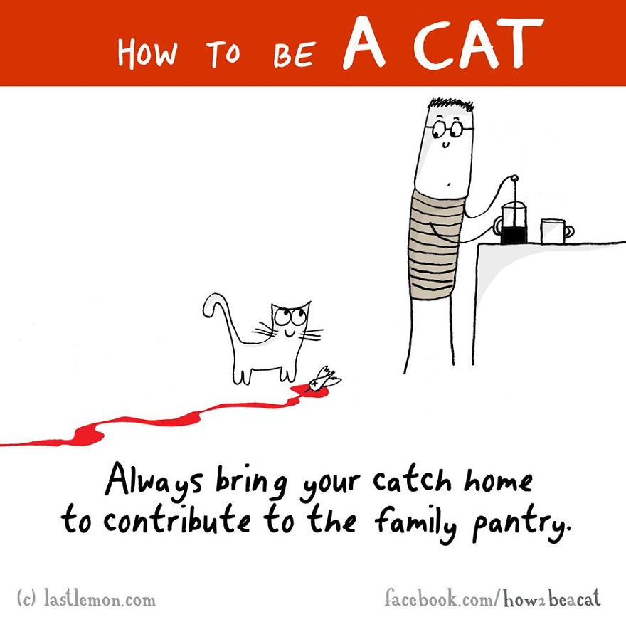 how-to-be-a-cat-funny-illustration-last-lemon-90__880