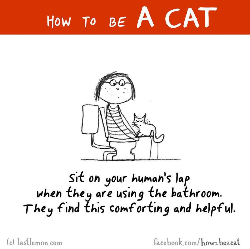 how-to-be-a-cat-funny-illustration-last-lemon-97__880