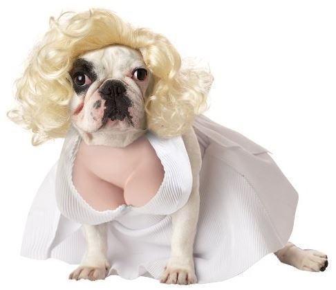 marilyn-dog-costume