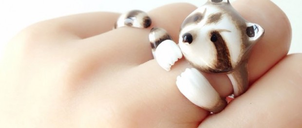 Raccoon