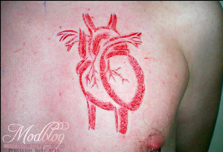 a97230_g138_2-heart