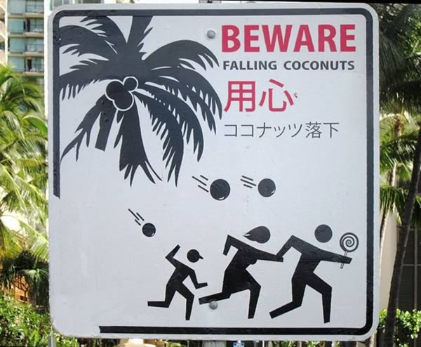 a99118_fell-sky_7-coconut