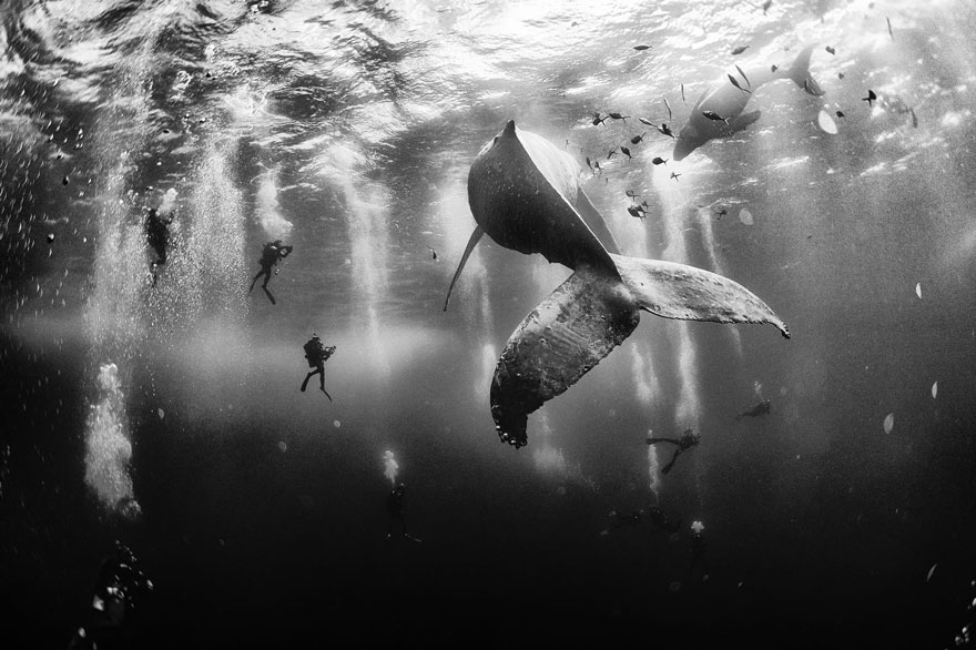 national-geographic-traveler-photo-contest-2015-8