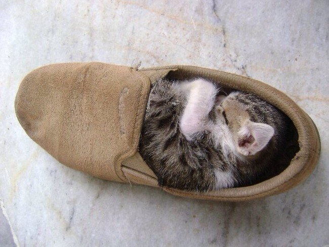sleepinganywhere