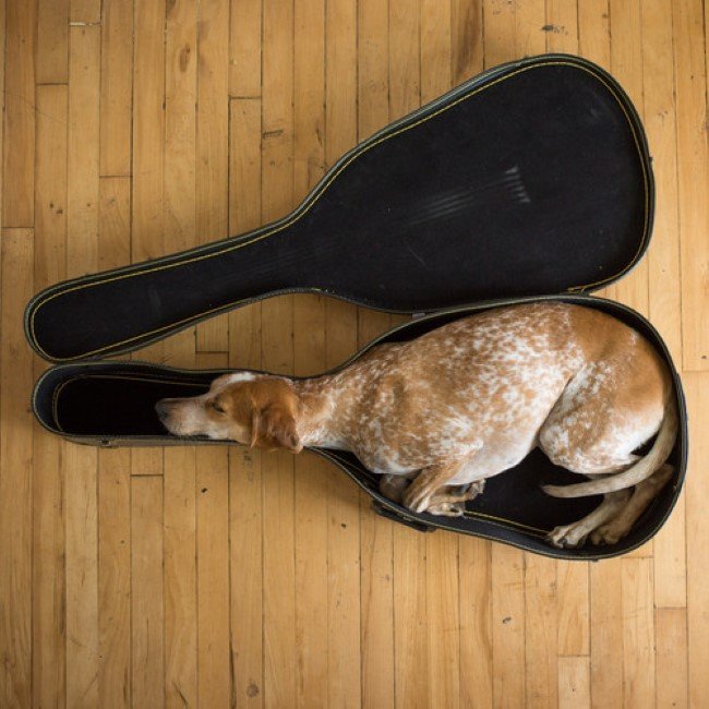 sleepinganywhere2