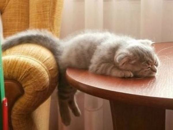 sleepinganywhere35