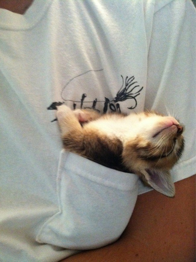 sleepinganywhere4