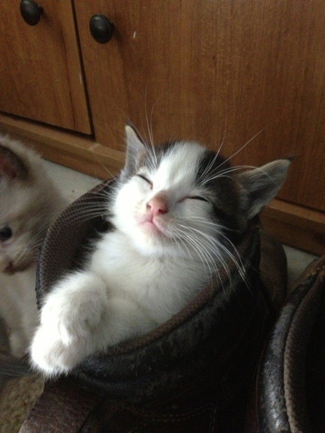 sleepinganywhere5