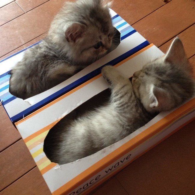 sleepinganywhere6