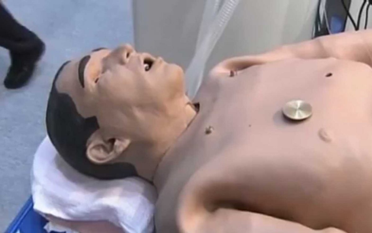 10-bizarre-things-that-robots-are-being-used-for-10