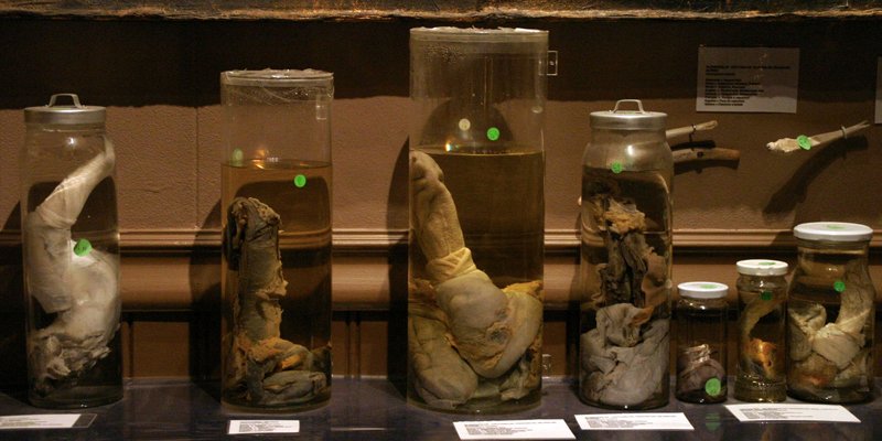 10-of-the-most-bizarre-tourist-attractions-in-the-world-2