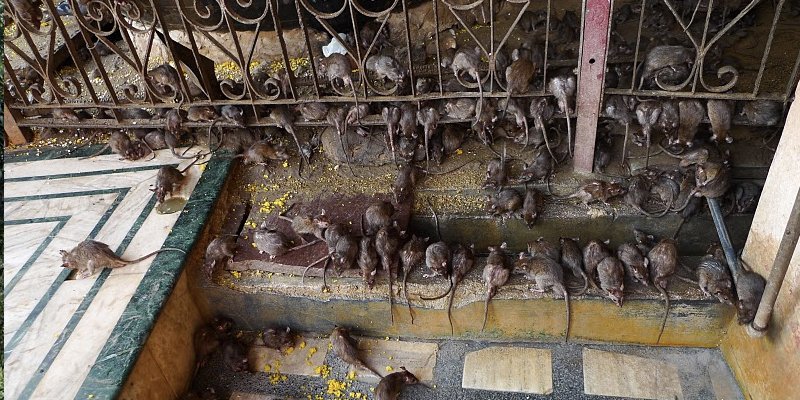 10-of-the-most-bizarre-tourist-attractions-in-the-world-3