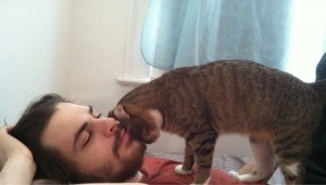 10-facts-you-never-knew-about-cats-6