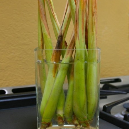 10-foods-that-can-re-grow-themselves-1