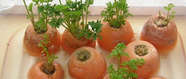 10-foods-that-can-re-grow-themselves-3