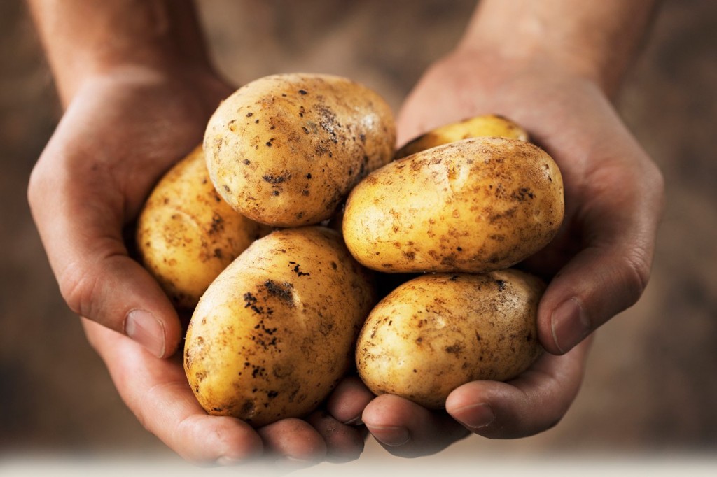 10-poisonous-foods-people-love-to-eat-10