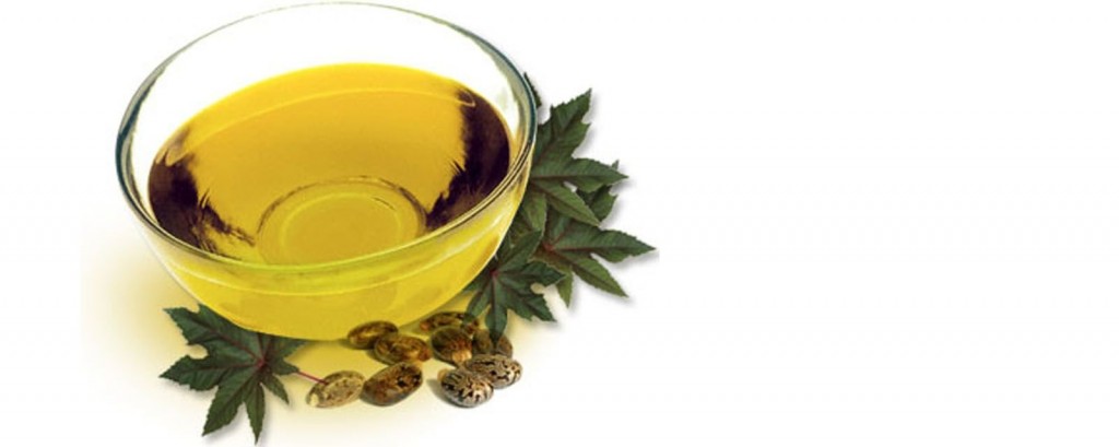 10-poisonous-foods-people-love-to-eat-4