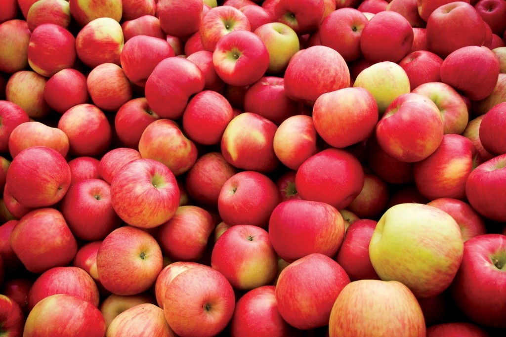 10-poisonous-foods-people-love-to-eat-7