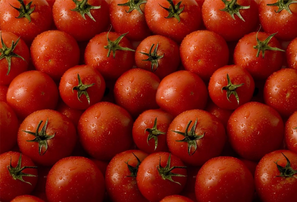 10-poisonous-foods-people-love-to-eat-9