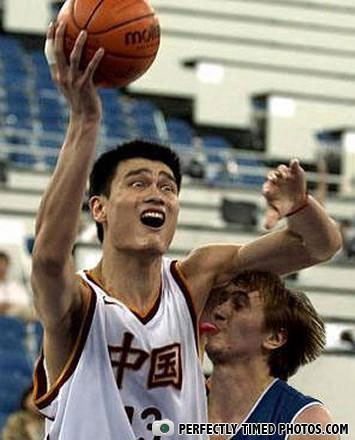 548669-perfectly-timed-photos