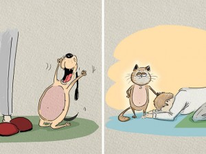 cats-vs-dogs-funny-illustrations-bird-born-6