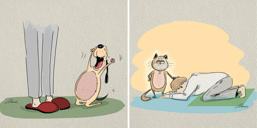 cats-vs-dogs-funny-illustrations-bird-born-6