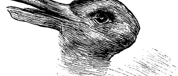 DuckRabbit