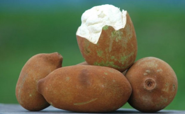 10-of-the-strangest-fruits-in-the-world-10