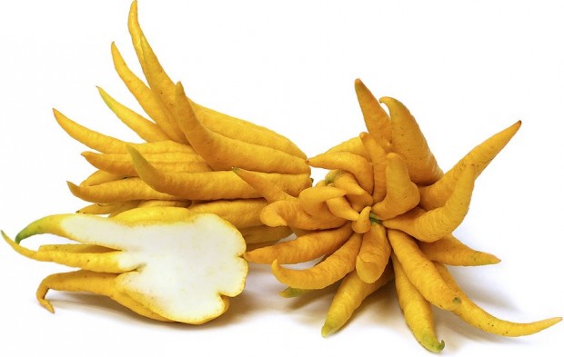 10-of-the-strangest-fruits-in-the-world-5