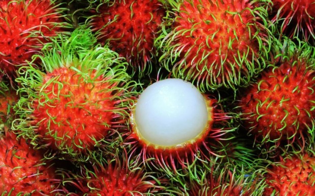 10-of-the-strangest-fruits-in-the-world-9