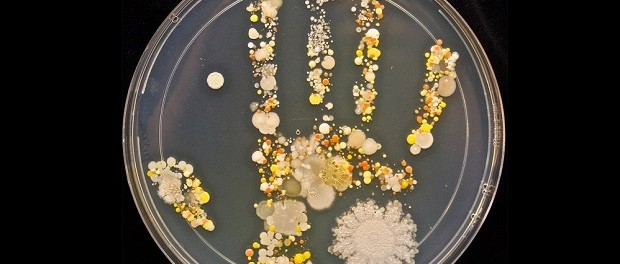 1226355-1000-1460354716-germs-gross