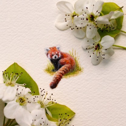 redpanda